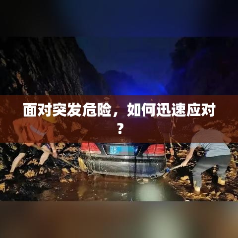 面对突发危险，如何迅速应对？