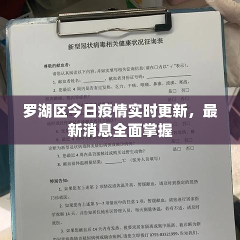 罗湖区今日疫情实时更新,最新消息全面掌握