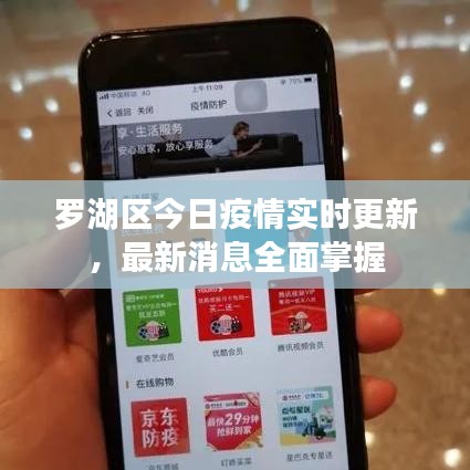罗湖区今日疫情实时更新,最新消息全面掌握