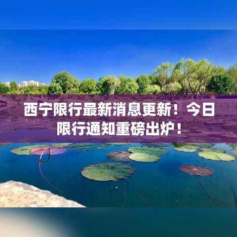西宁限行最新消息更新！今日限行通知重磅出炉！
