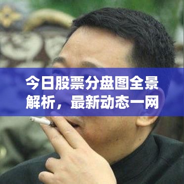今日股票分盘图全景解析，最新动态一网打尽