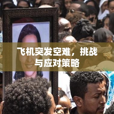 飞机突发空难，挑战与应对策略