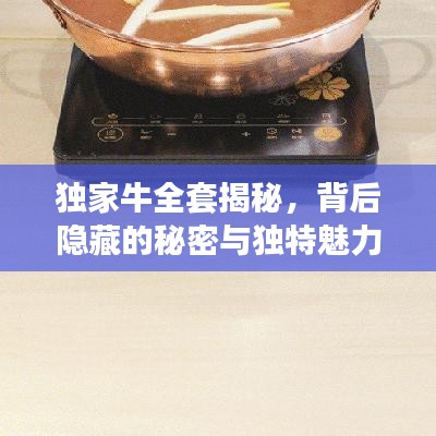 独家牛全套揭秘，背后隐藏的秘密与独特魅力