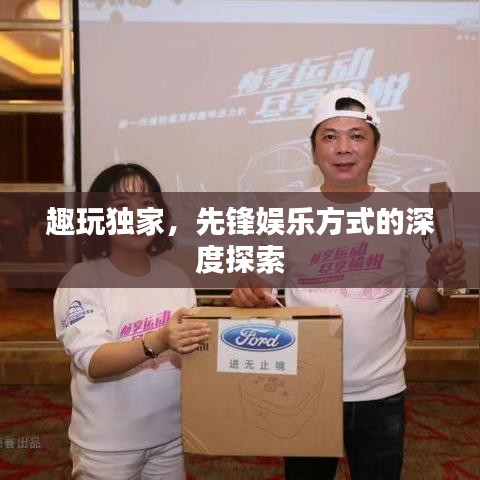 趣玩独家,先锋娱乐方式的深度探索