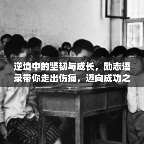 逆境中的坚韧与成长，励志语录带你走出伤痛，迈向成功之路