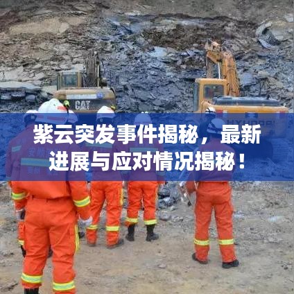 紫云突发事件揭秘,最新进展与应对情况揭秘!