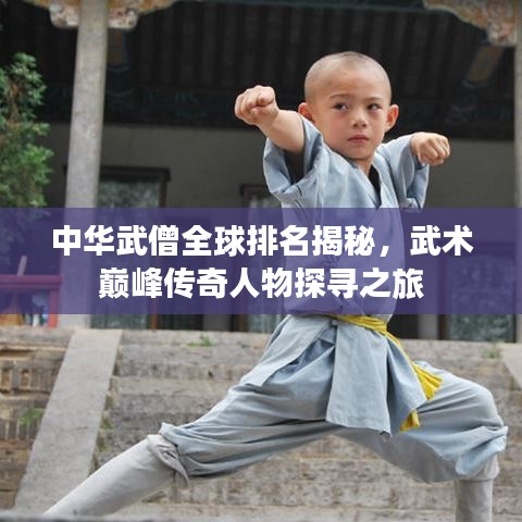 中华武僧全球排名揭秘，武术巅峰传奇人物探寻之旅
