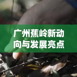 物以希为贵 第6页