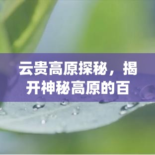 云贵高原探秘，揭开神秘高原的百度奥秘之旅