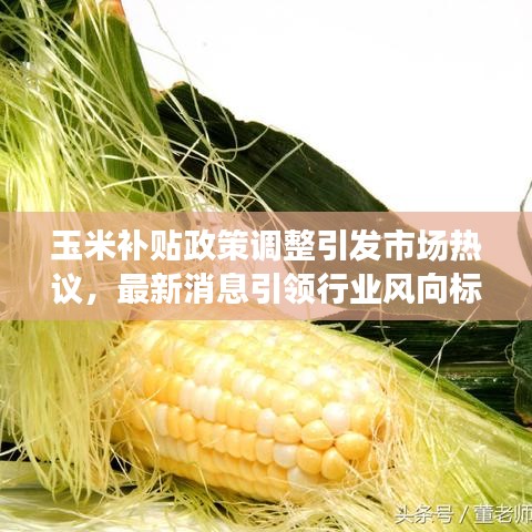 玉米补贴政策调整引发市场热议，最新消息引领行业风向标