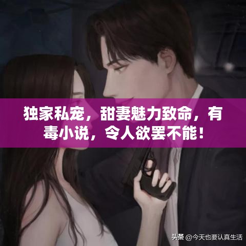 独家私宠,甜妻魅力致命,有毒小说,令人欲罢不能!