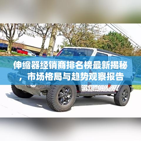 伸缩器经销商排名榜最新揭秘，市场格局与趋势观察报告