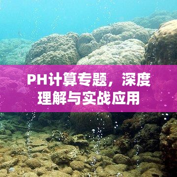 PH计算专题，深度理解与实战应用