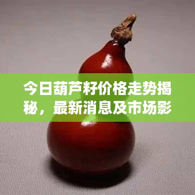 今日葫芦籽价格走势揭秘，最新消息及市场影响因素分析