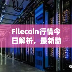 Filecoin行情今日解析，最新动态与趋势预测