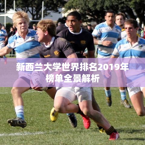 新西兰大学世界排名2019年榜单全景解析