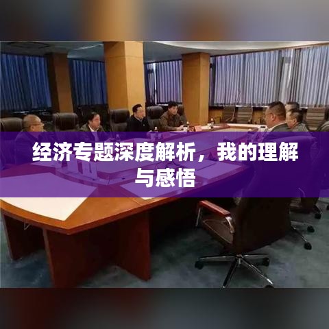 经济专题深度解析，我的理解与感悟