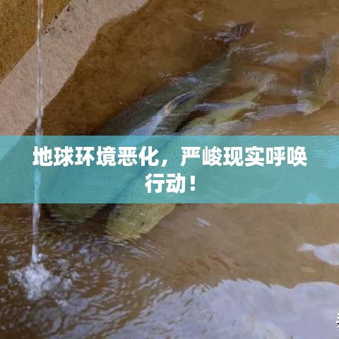 地球环境恶化，严峻现实呼唤行动！