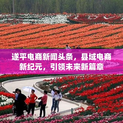 遂平电商新闻头条，县域电商新纪元，引领未来新篇章