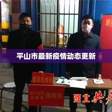 平山市最新疫情动态更新