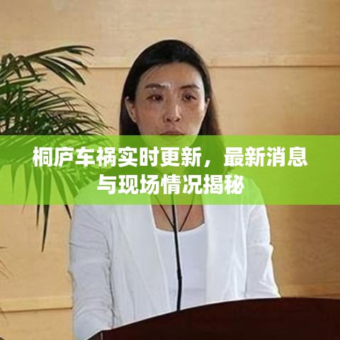 桐庐车祸实时更新，最新消息与现场情况揭秘