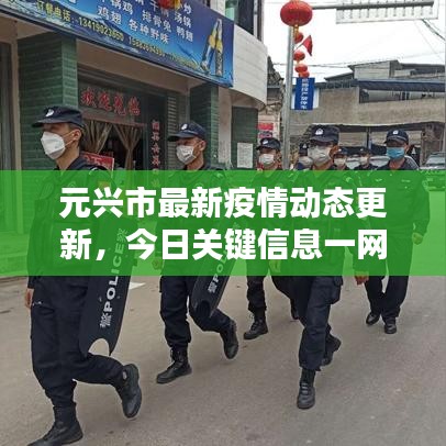 元兴市最新疫情动态更新，今日关键信息一网打尽！