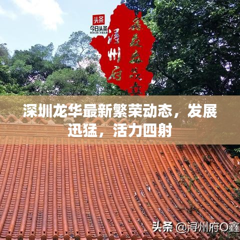 深圳龙华最新繁荣动态，发展迅猛，活力四射