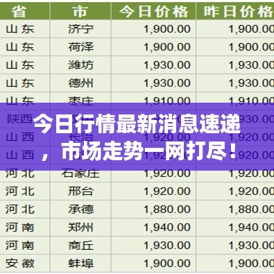 今日行情最新消息速递，市场走势一网打尽！