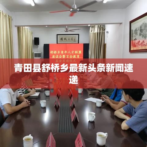 青田县舒桥乡最新头条新闻速递