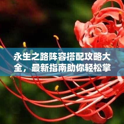 永生之路阵容搭配攻略大全,最新指南助你轻松掌握!