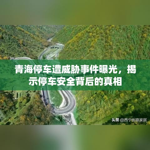 青海停车遭威胁事件曝光，揭示停车安全背后的真相