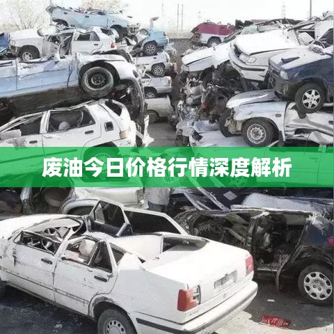废油今日价格行情深度解析