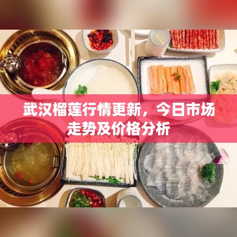 武汉榴莲行情更新，今日市场走势及价格分析
