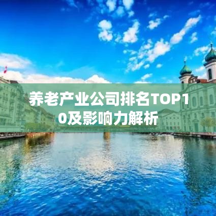 养老产业公司排名TOP10及影响力解析