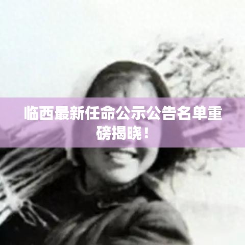 临西最新任命公示公告名单重磅揭晓！