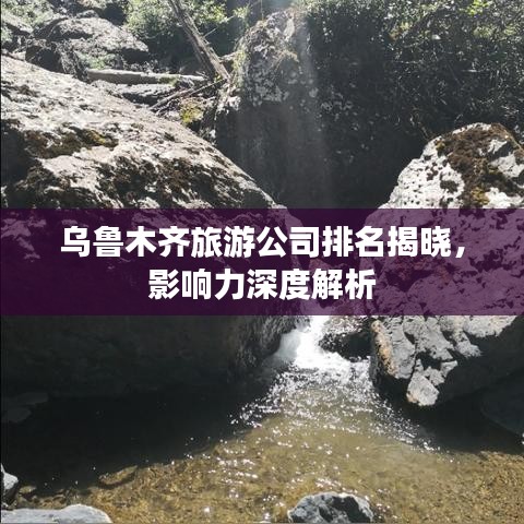 乌鲁木齐旅游公司排名揭晓，影响力深度解析