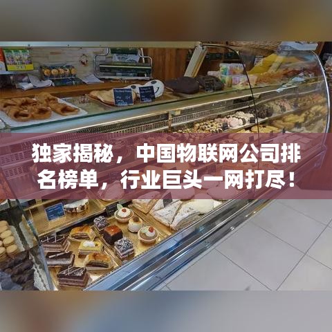 独家揭秘，中国物联网公司排名榜单，行业巨头一网打尽！