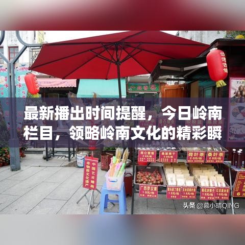 最新播出时间提醒，今日岭南栏目，领略岭南文化的精彩瞬间
