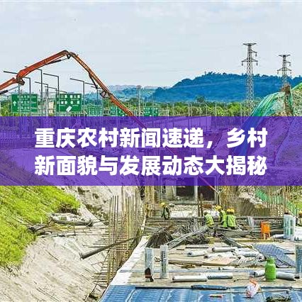 重庆农村新闻速递，乡村新面貌与发展动态大揭秘