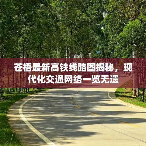 苍梧最新高铁线路图揭秘，现代化交通网络一览无遗