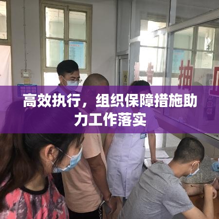 高效执行,组织保障措施助力工作落实