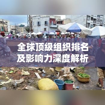 全球顶级组织排名及影响力深度解析