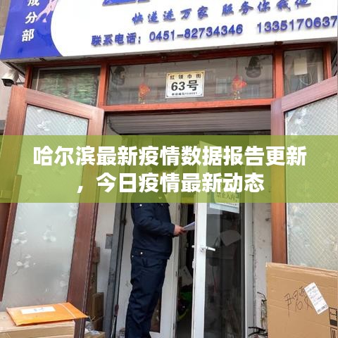 哈尔滨最新疫情数据报告更新，今日疫情最新动态