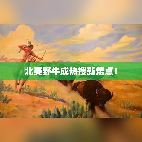 北美野牛成热搜新焦点!