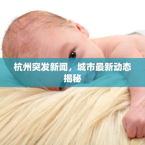 杭州突发新闻,城市最新动态揭秘