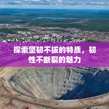 探索坚韧不拔的特质，韧性不断裂的魅力