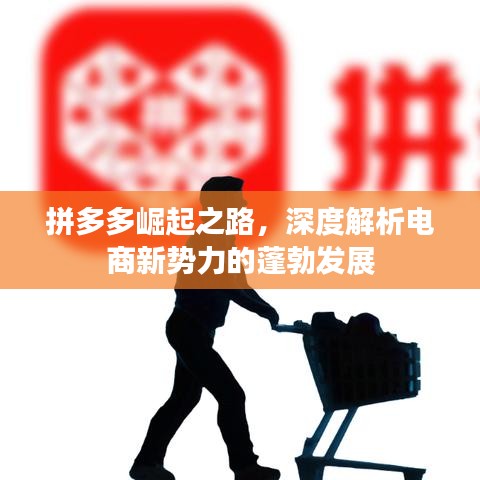 拼多多崛起之路，深度解析电商新势力的蓬勃发展