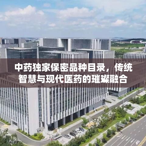 中药独家保密品种目录，传统智慧与现代医药的璀璨融合