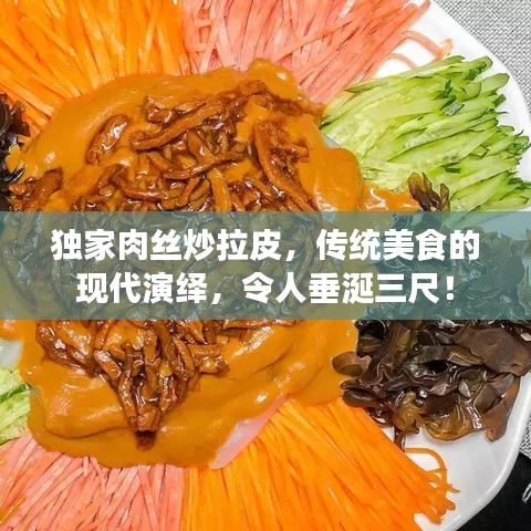 独家肉丝炒拉皮，传统美食的现代演绎，令人垂涎三尺！