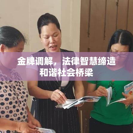 金牌调解，法律智慧缔造和谐社会桥梁